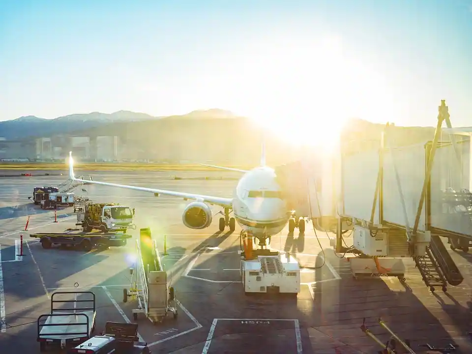 What Is the Phone Number for Delta Airlines Reservations