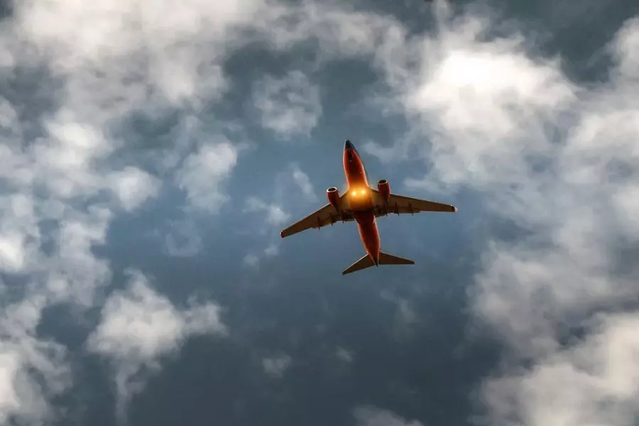 How Do I Check in Online for Bahamasair?