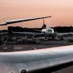 How Much Does It Cost to Fly a Dog on Delta?