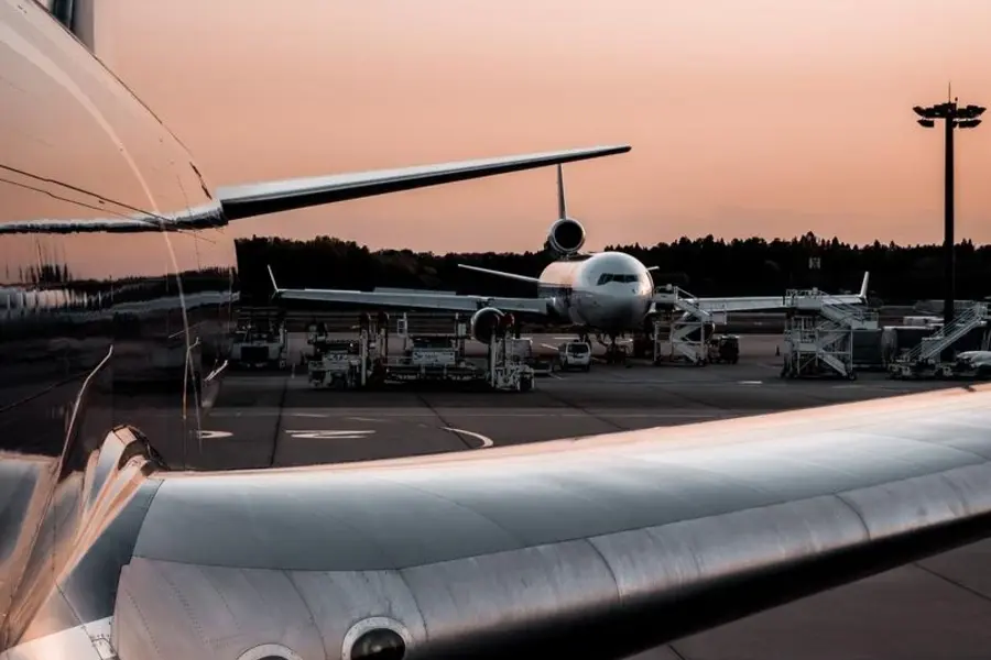 How Much Does It Cost to Fly a Dog on Delta?