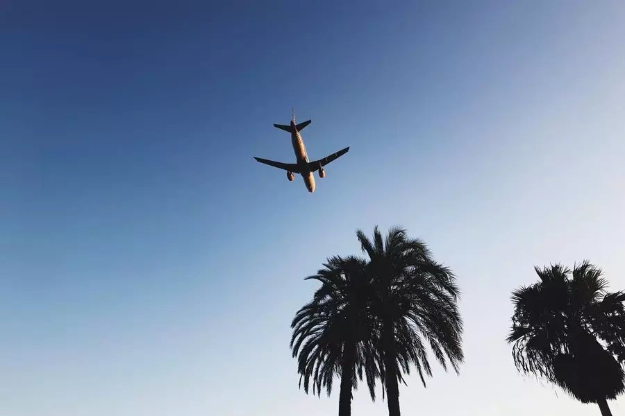 Can You Bring Your Own Alcohol on a Plane?