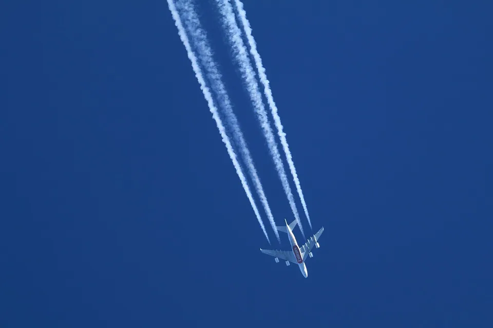 How do I Claim Compensation from Hawaiian Airlines