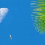 Delta Airlines Manage Booking