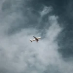 How to find cancelled flights on southwest?