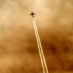 Why Book Emirates Business Class Flights?