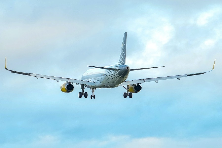 What happens if you check in online but miss your flight?