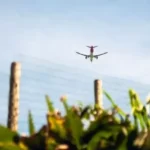 How to Get Boarding Pass on Phone Southwest?