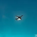 How to find my Southwest airlines rapid rewards number