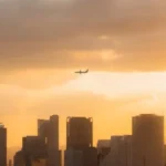 How to Find Flight Number Southwest