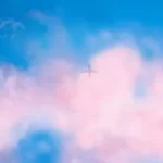 How to Check in on Southwest Airlines?