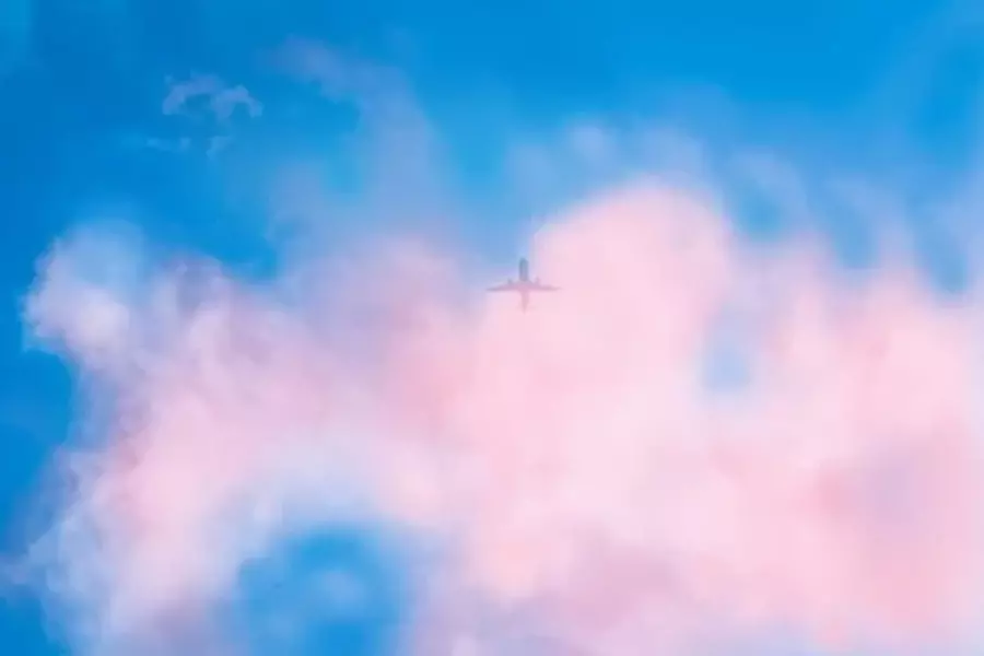 How to Check in on Southwest Airlines?