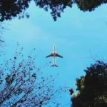 United Airlines Change Email Address