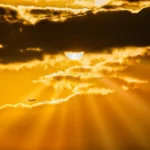 Can you cancel united airline tickets?