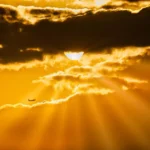 How to Use Flight Credit United?