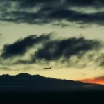 How do I cancel a flight on Southwest